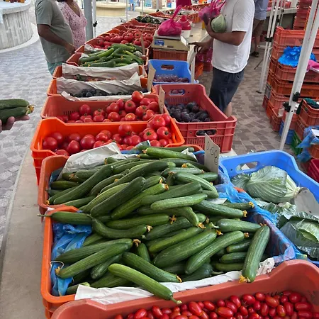 Alex 51 ラルナカ