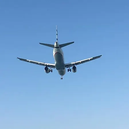 Alex 51 ラルナカ