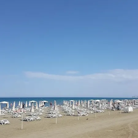 Alex 51 アパート