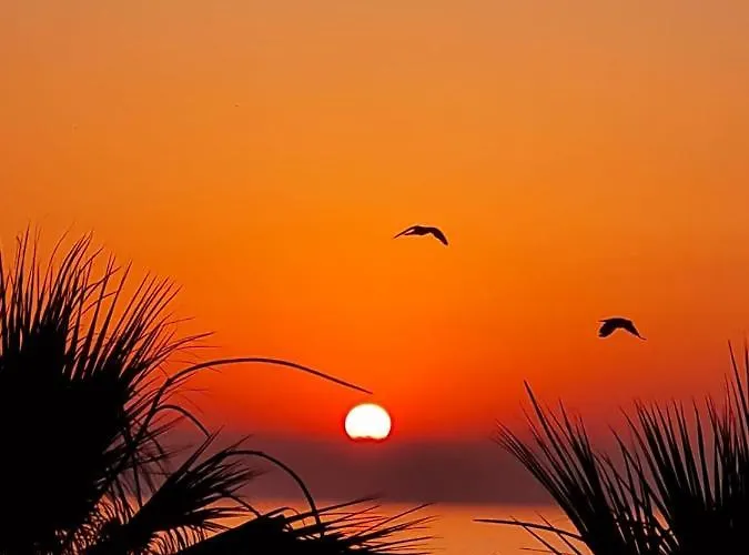 Lejlighed Alex 51 Larnaca