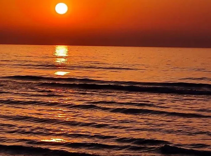 Lejlighed Alex 51 Larnaca