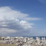 Alex 51 * ラルナカ