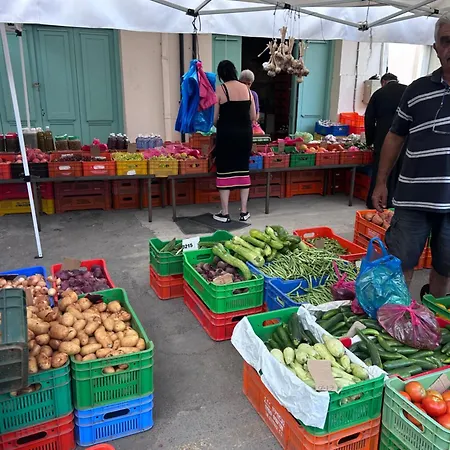 Alex 51 Apartament *