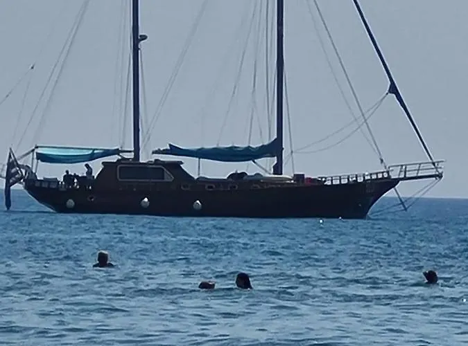 Alex 51 Ларнака