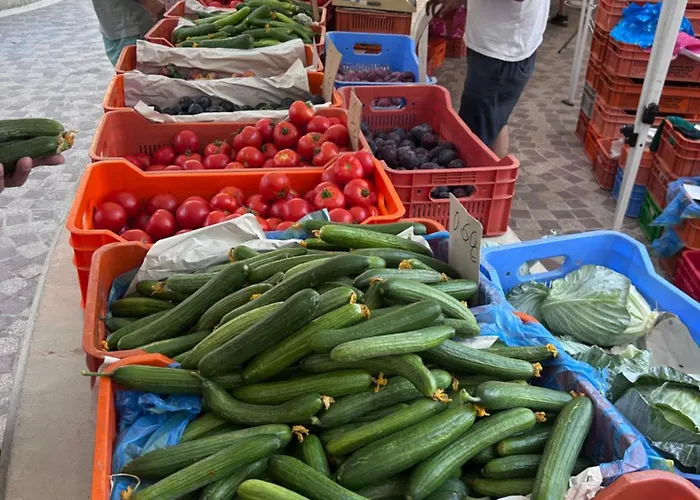 Alex 51 Ларнака