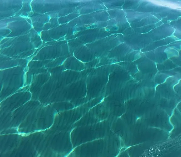 Апартаменти Alex 51 Ларнака