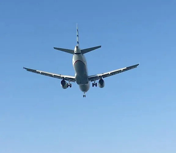 Alex 51 Ларнака