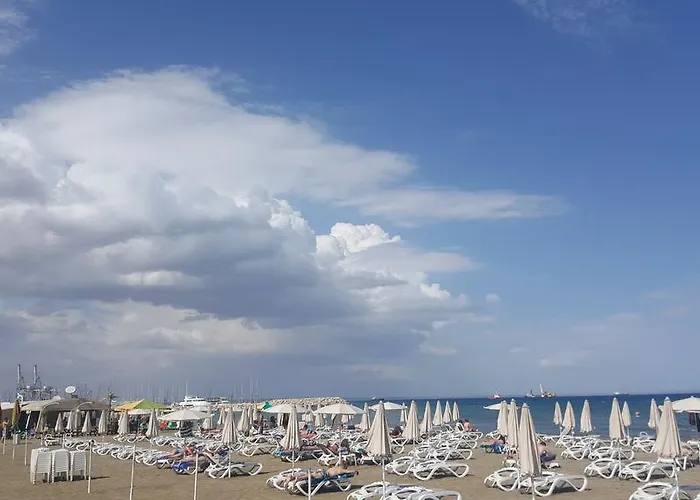 Alex 51 * Ларнака