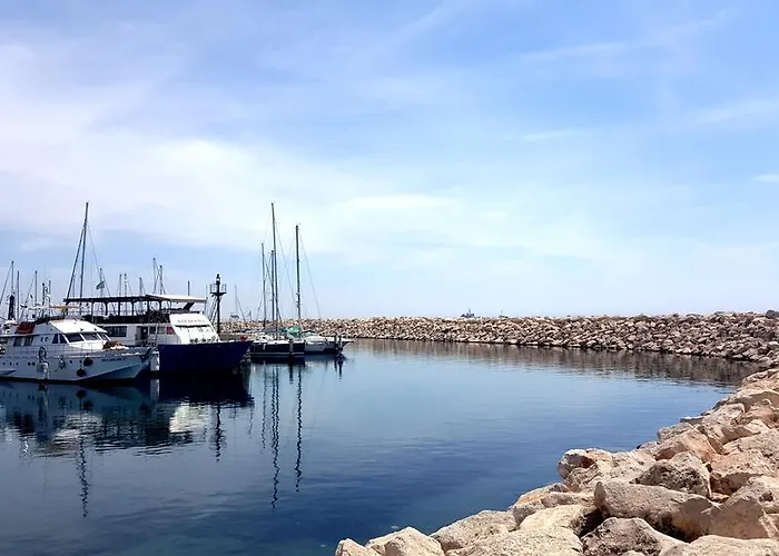 Alex 51 Apartament *