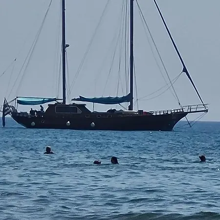 Alex 51 Lárnaka